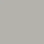 Light grey matte texture sample, uniform cool neutral tone, evenly lit solid color field, consistent surface with no visible grain or pattern.